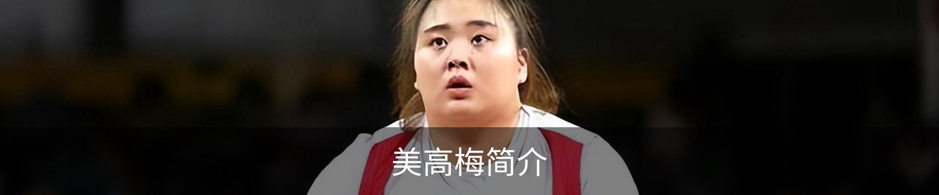 美高梅简介